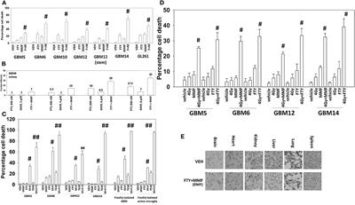 Fingolimod Augments Monomethylfumarate Killing of GBM Cells